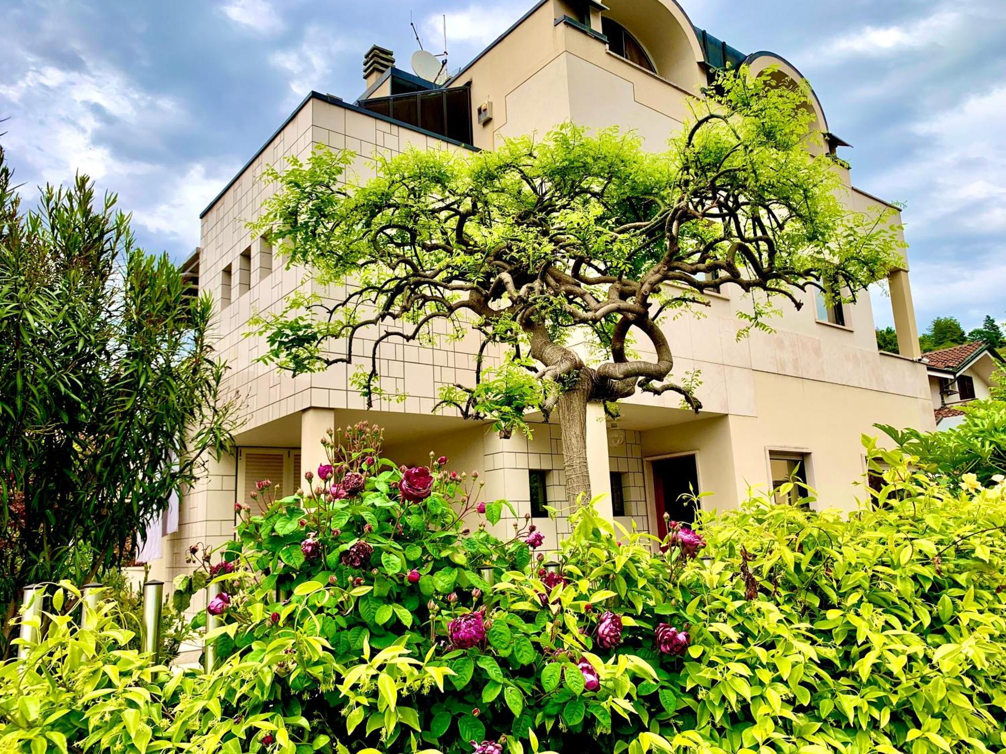 L'Angolo Verde Apartment Moncalieri Exterior foto